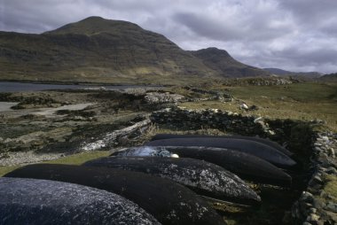 geleneksel currachs, co galway, İrlanda