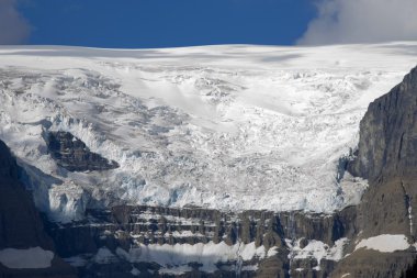jasper national park, alberta, Kanada Buzulu