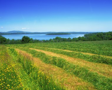 Co fermanagh, İrlanda alt lough erne, boa Adası