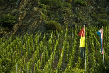 Moselle Valley Viticulture With Flags clipart