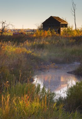 terk edilmiş shack ve dere