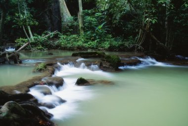 bokkharani Milli Parkı, krabi, Tayland
