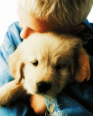 Çocuğu sevmek köpek yavrusu