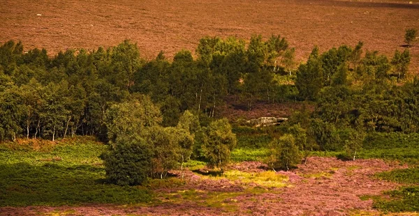 alanında derbyshire, İngiltere