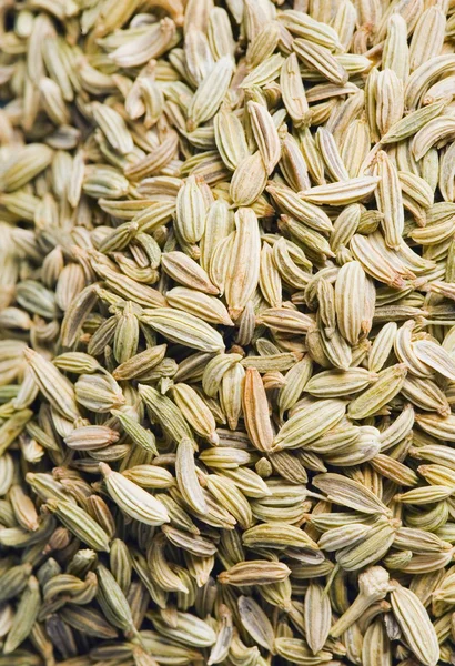 Detailní záběr semen fenyklu — Stock fotografie