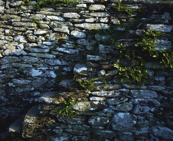 斑驳的墙，co 多尼戈尔爱尔兰 — 图库照片