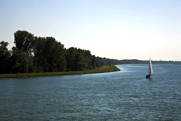 Rhinen, Tyskland – stockfoto