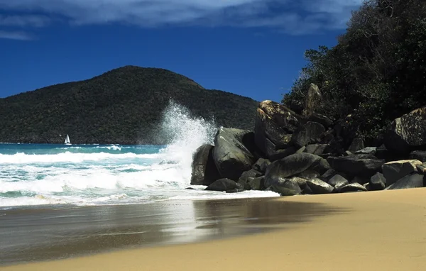 Praia do Caribe — Fotografia de Stock