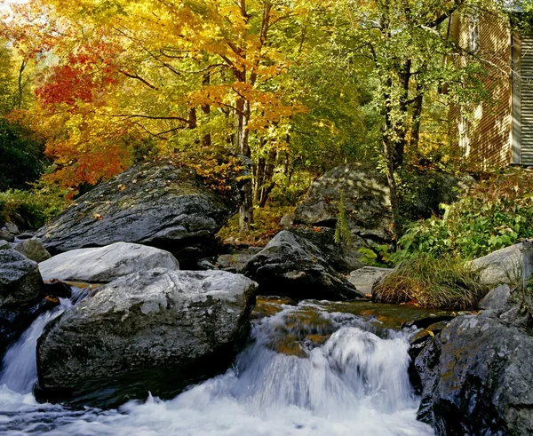 Rivier in de herfst — Stockfoto