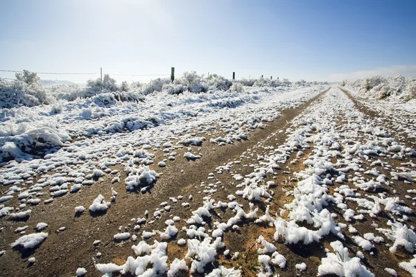 Toprak yol üzerinde eriyen kar — Stok fotoğraf