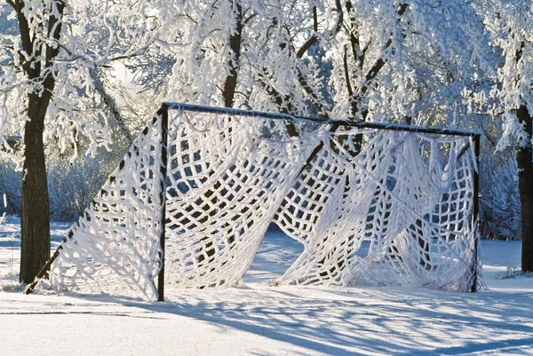 Rede de futebol no inverno — Fotografia de Stock