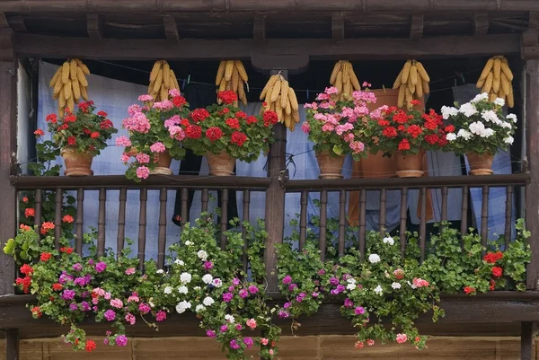 Houten balkon weergeven bloemen en drogen maïskolven, carmona, cantabria, Spanje — Stockfoto