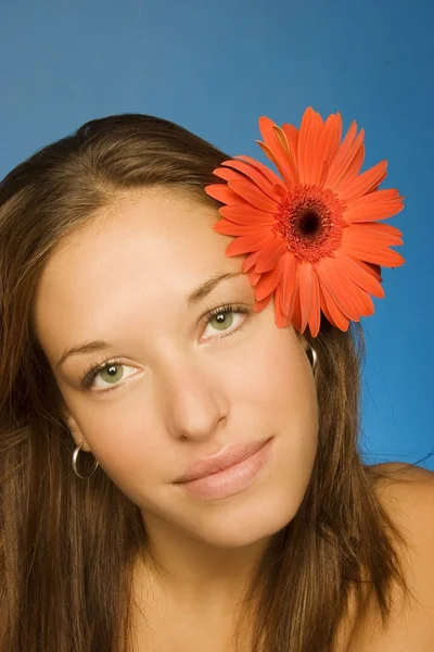 Brunett modell med gerbera daisy — Stockfoto