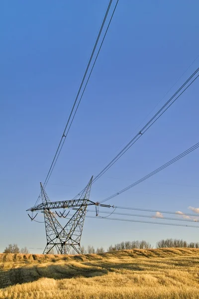 Hoge spanning toren in veld — Stockfoto