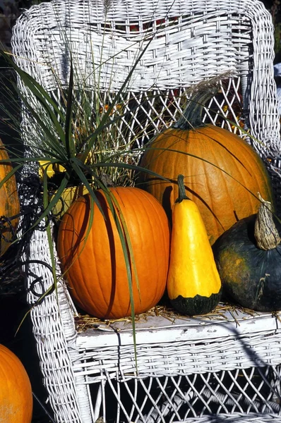 Autumn Harvest Display — Stock Photo, Image