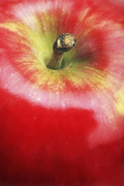 Primer plano de una manzana —  Fotos de Stock