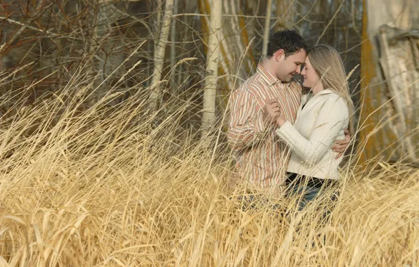 Casal segurando um ao outro em um campo de trigo — Fotografia de Stock