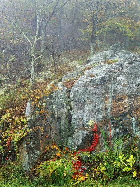 Parc national de Shenandoah en automne, Virginie, États-Unis — Photo