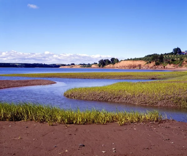 Minas Havzası, nova scotia — Stok fotoğraf