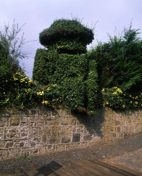 Co down, scarva, 19. Jh. topiary figure of william iii at railway station, irland — Stockfoto
