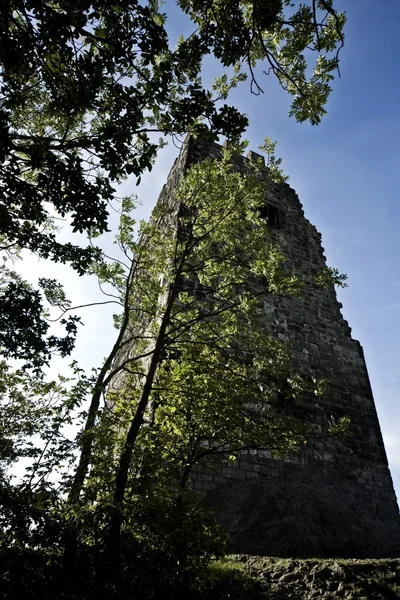Руины замка, Германия — стоковое фото