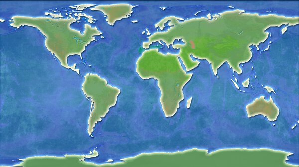 Иллюстрация карты мира