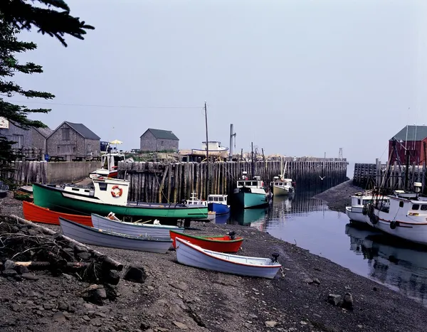 Лодки на берегу с причалом на заднем плане — стоковое фото