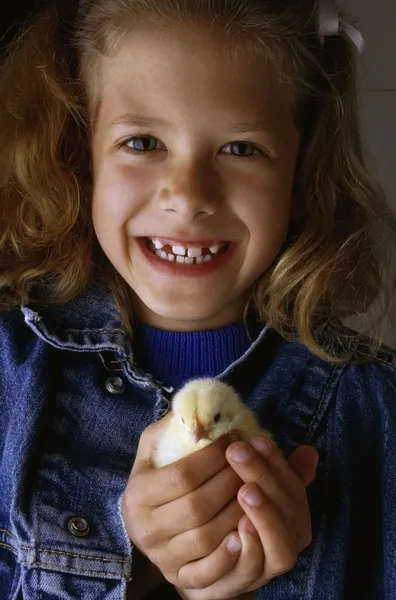 Девочка, держащая в руках цыпленка — стоковое фото
