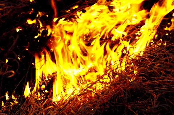 Grass Fire — Stock Photo, Image