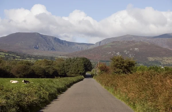 Mahon Köprüsü yakınlarında comeragh dağlar, county waterford, İrlanda — Stok fotoğraf