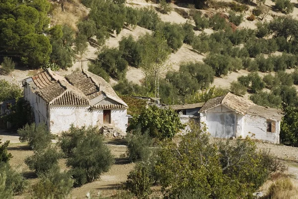 Old Farmhouse And Outbuildings in Andalucia, Spain . — стоковое фото
