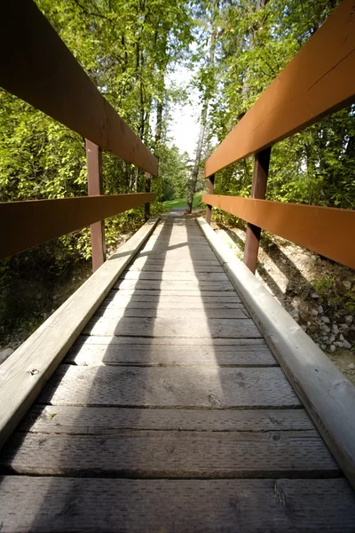 A Foot Bridge, Fairmont, Bc, Canadá — Foto de Stock