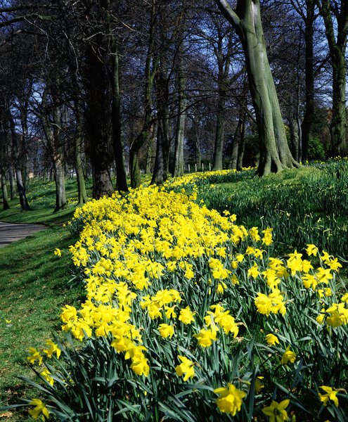 Ormeau Park, Belfast, Ireland