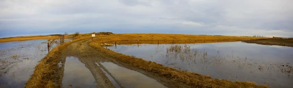 Zalane pola po opadów — Zdjęcie stockowe