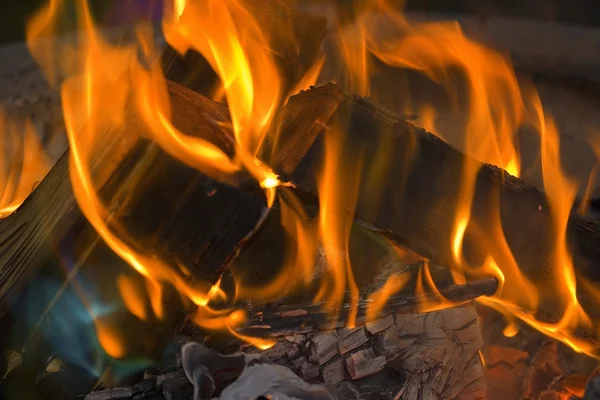 Lagerfeuer — Stockfoto