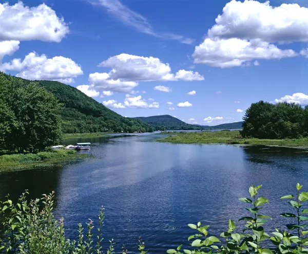 Letní říční krajina — Stock fotografie