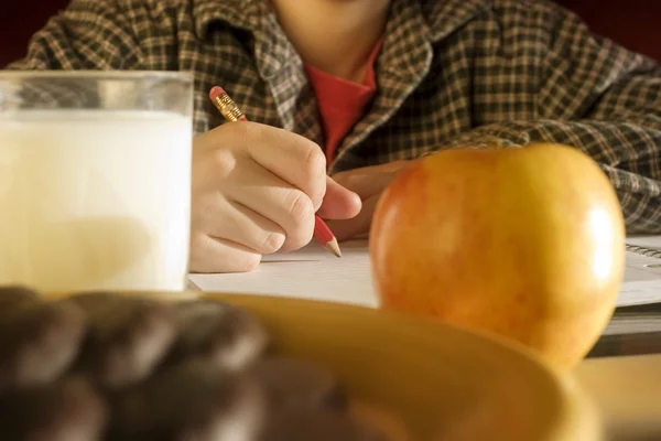 Chico escribiendo — Foto de Stock