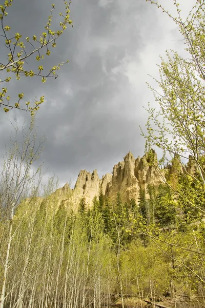 Dutch Creek Hoodoos And Spring Foliage With Cloudy Sky — Stock Photo, Image