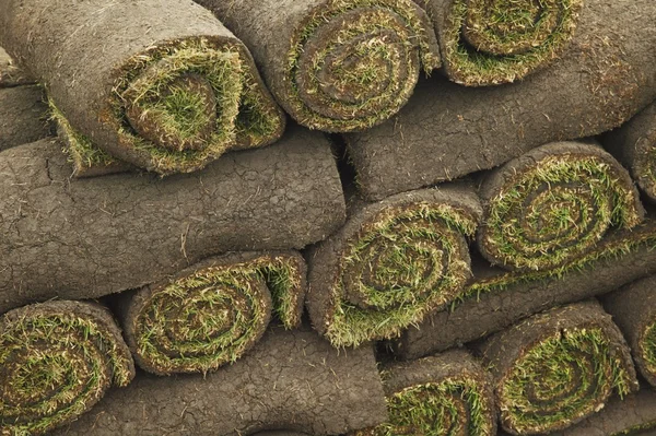 Turf In Rolls — Stock Photo, Image