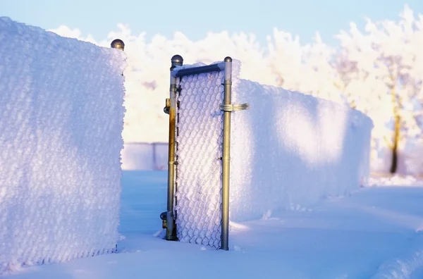 Besneeuwde hek met een poort open — Stockfoto