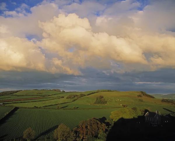 Dunamace、 co 崂、 爱尔兰周围的田野 — 图库照片