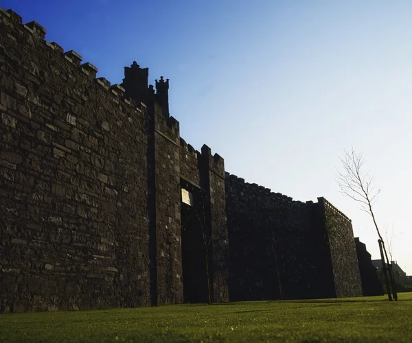保留长的城墙，厨师街道，爱尔兰都柏林 — 图库照片