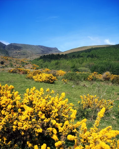 Co waterford, comeragh Dağları, crottys kaya, İrlanda yakınında — Stok fotoğraf