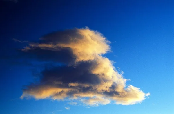 Donkere cumulus wolk — Stockfoto