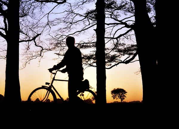 Radfahren, Radfahrer bei Sonnenuntergang — Stockfoto