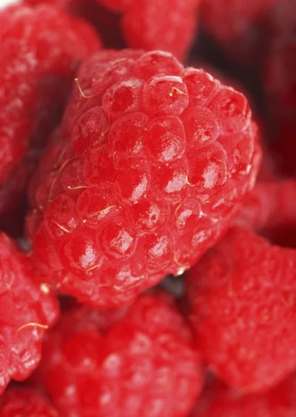 Close Up Of Raspberries — Stock Photo, Image