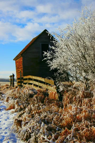 Vieux bâtiment en hiver — Photo