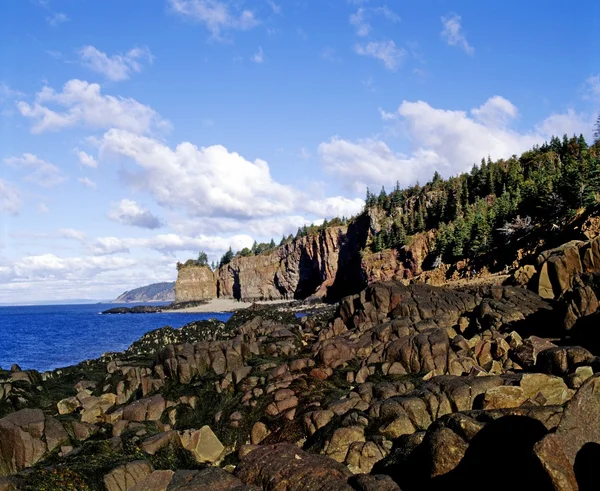 Rocky Shoreline con area forestale sopra — Foto Stock