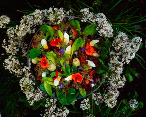 混合の葉と野菜のサラダ — ストック写真