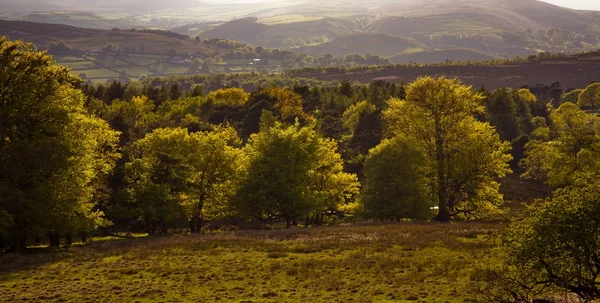 Parkland in derbyshire, england — Stockfoto